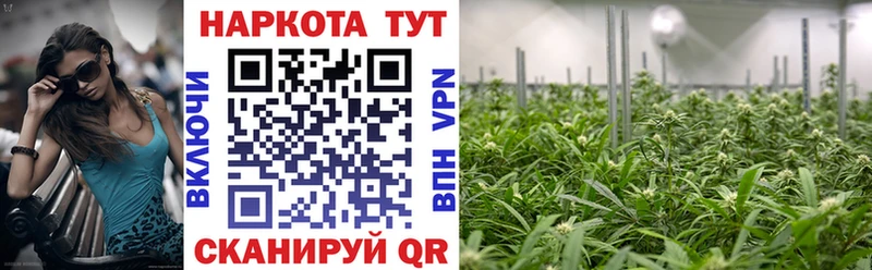 Продажа наркотиков Грязи MDMA Кокаин Меф мяу мяу Гашиш