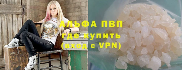 стафф Алексин