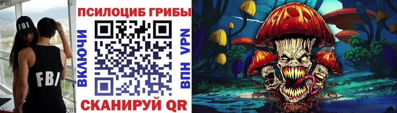 Псилоцибиновые грибы Cubensis  даркнет сайт  Грязи 