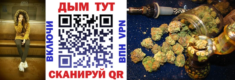 где купить наркоту  Грязи  Конопля гибрид 